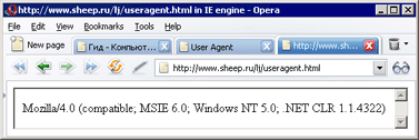  IE  Opera