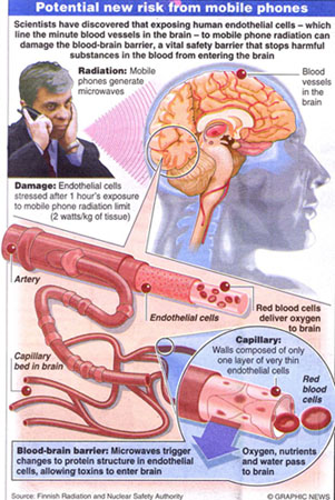 mobile phone radiation danger